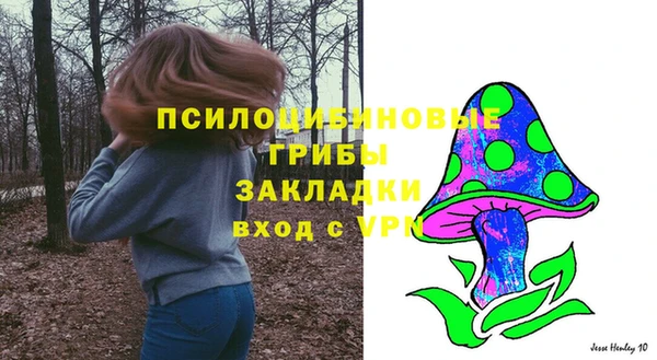 синтетический гашиш Алексин
