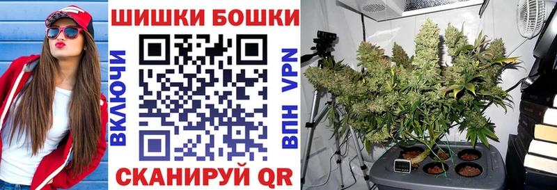 Шишки марихуана THC 21%  Щигры 